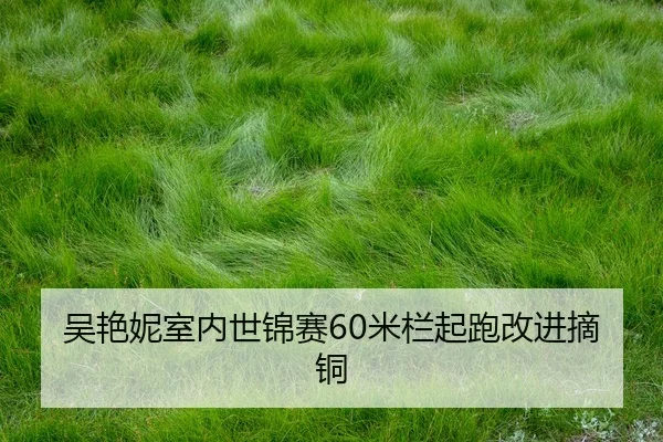 wu-yan-ni-shi-nei-shi-jin-sai-mi-lan-qi-pao-gai-jin-zhai-tong-2-584.jpg