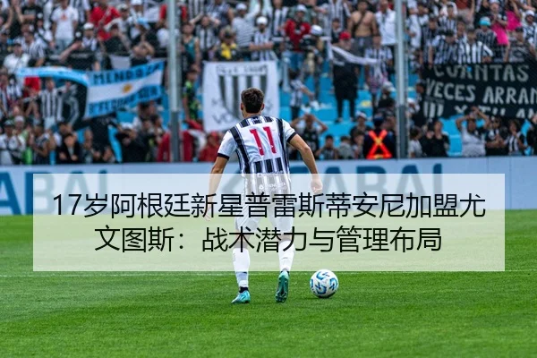 sui-a-gen-ting-xin-xing-pu-lei-si-di-an-ni-jia-meng-you-wen-tu-si-zhan-shu-qian-li-yu-guan-li-bu-ju-2-821.jpg