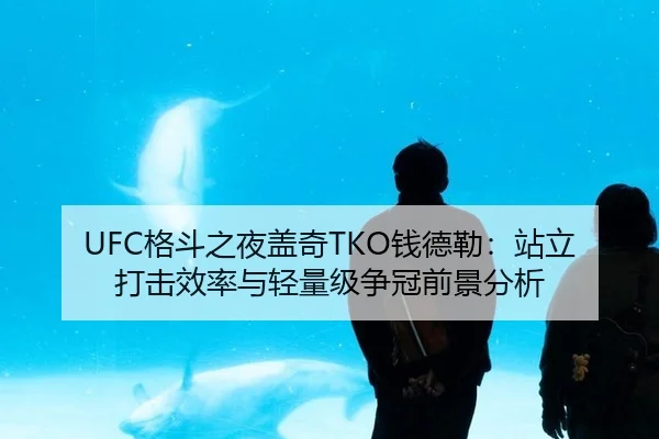 UFC格斗之夜盖奇TKO钱德勒：站立打击效率与轻量级争冠前景分析