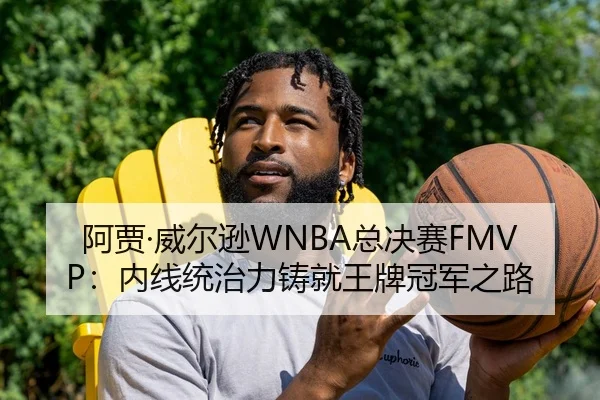 阿贾·威尔逊WNBA总决赛FMVP：内线统治力铸就王牌冠军之路